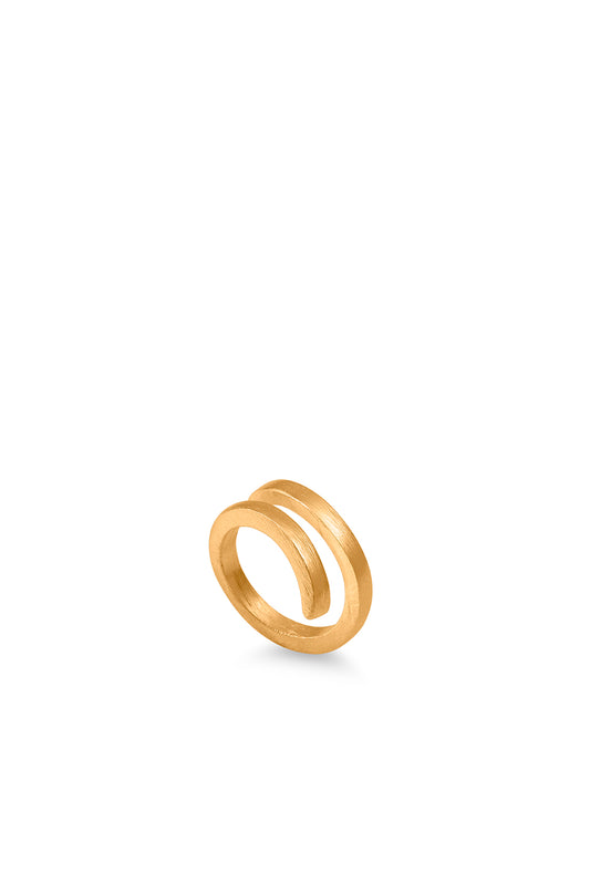 Anel Minimal